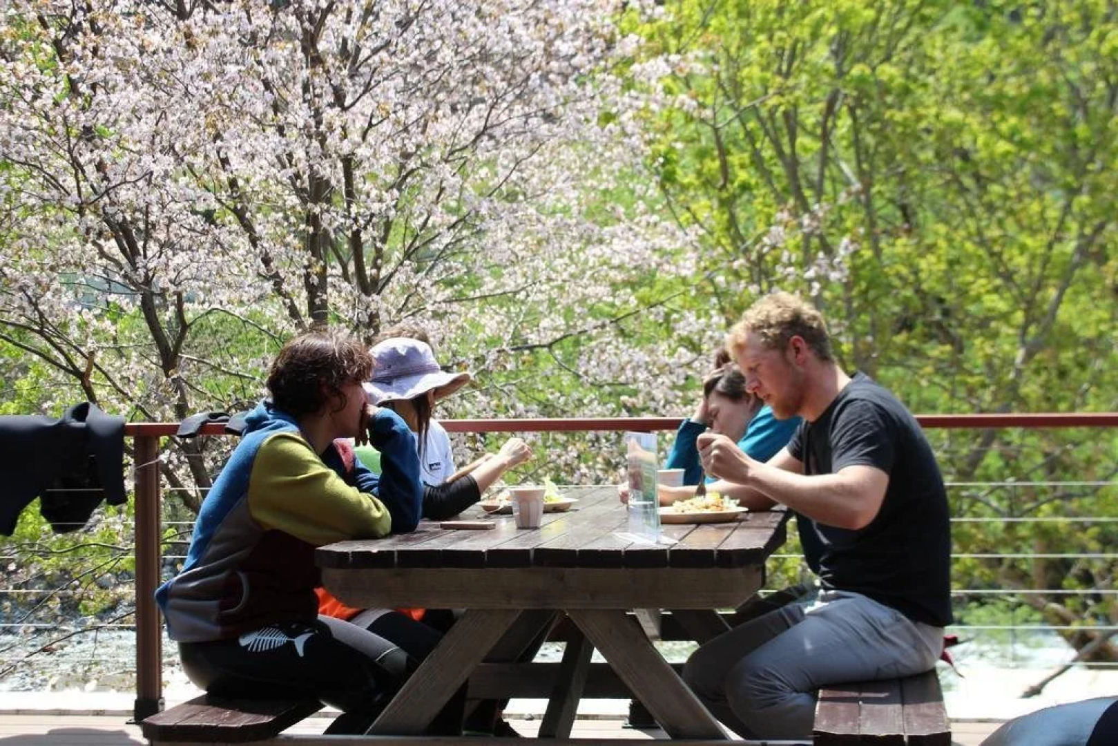 Alpine Lodge - Hostel