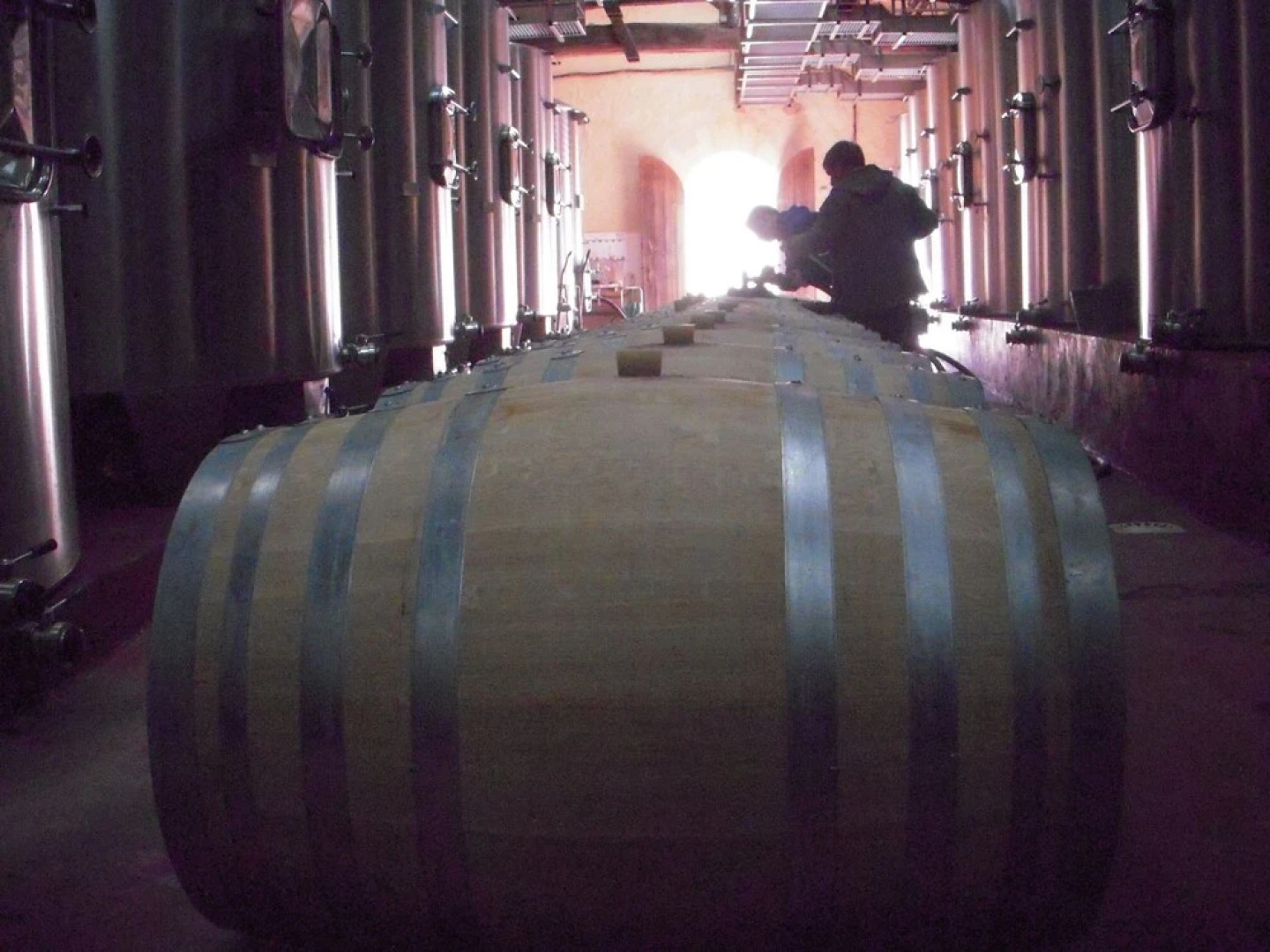 La Maison des Aurélines