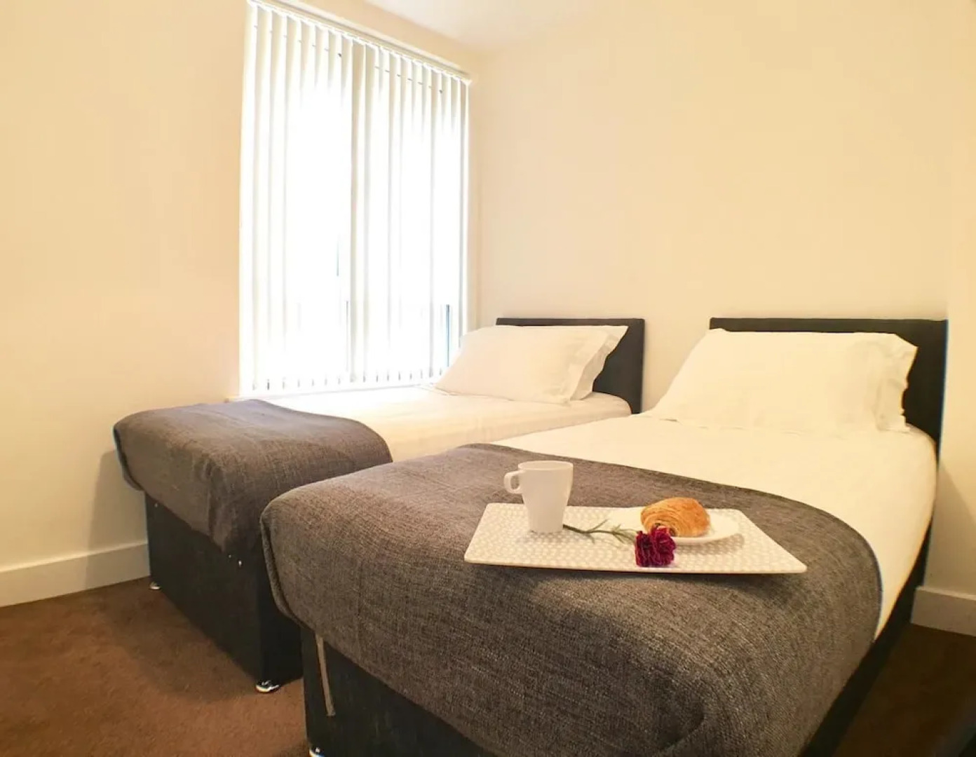 Luxurious Shelley House Apartment