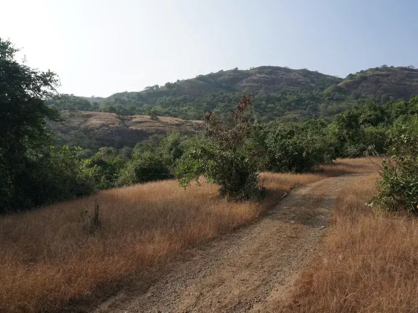 OYO 24793 Eagle Villa