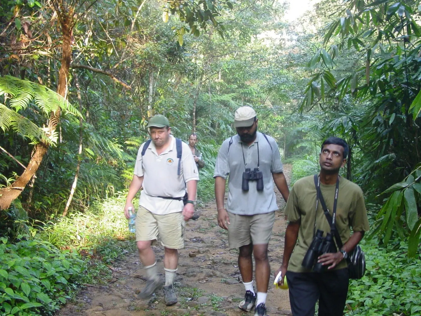 Explorer by Eco team - Sinharaja