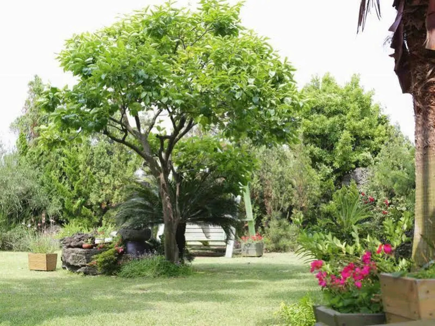 Namu Hyanggi Pension