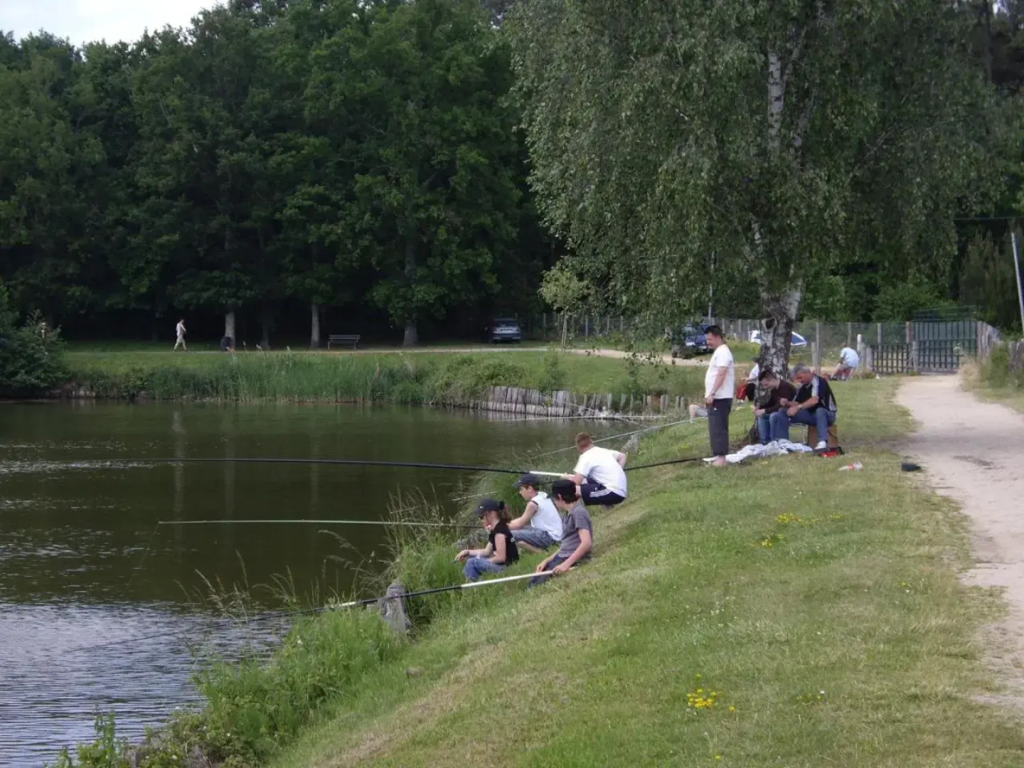 La Terrasse des Oliviers