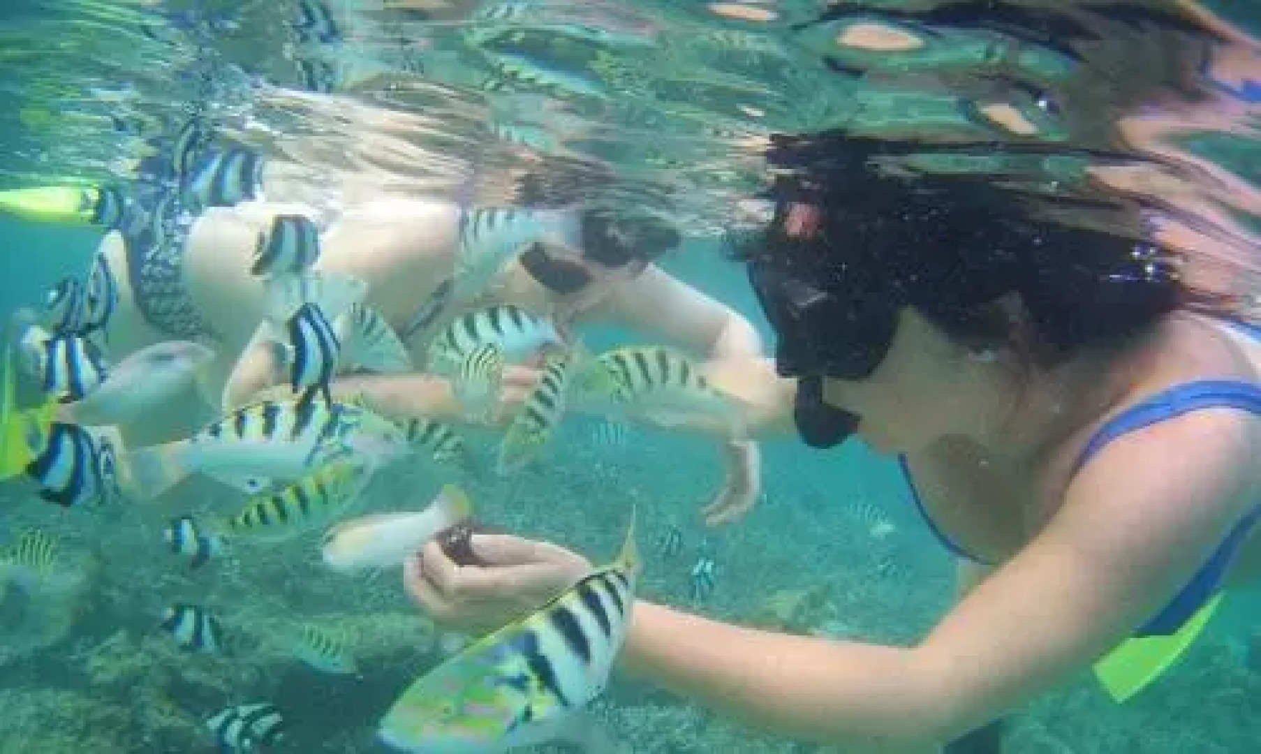 La Gaulette Guesthouse