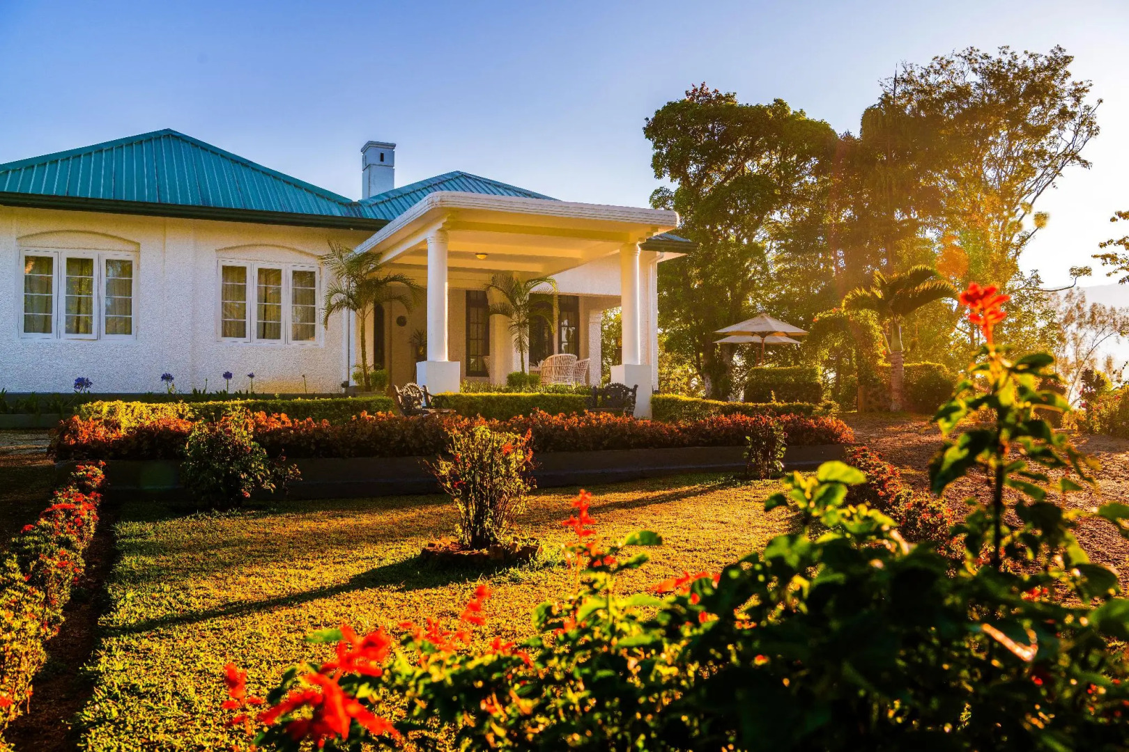 Dickoya by Zinc Journeys