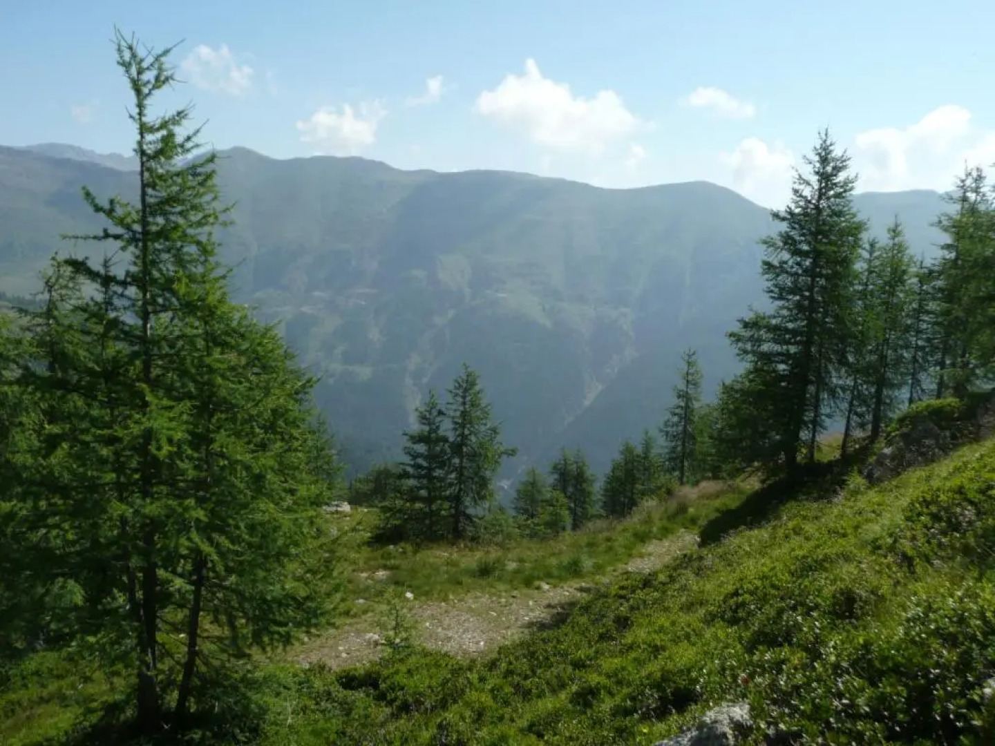 Almgasthof Fichtenheim