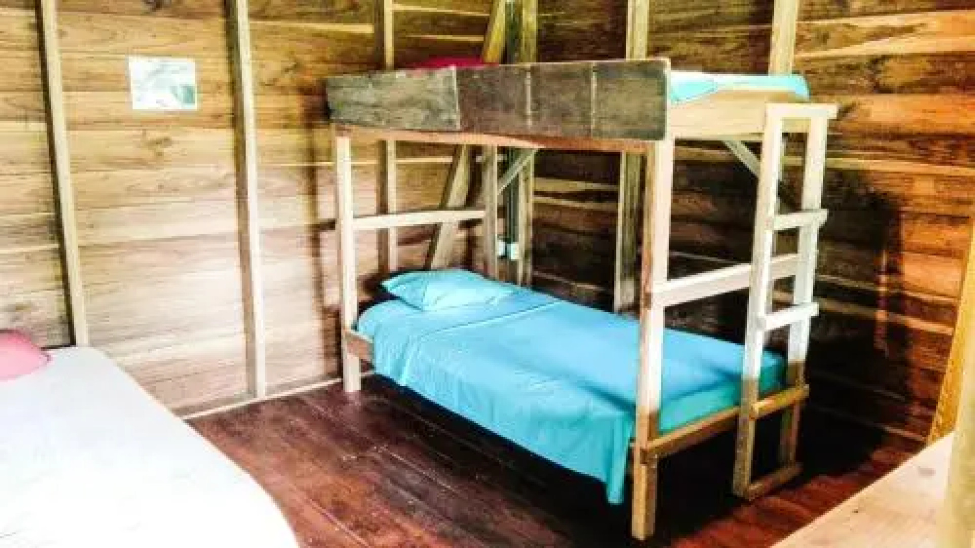 One World Costa Rica