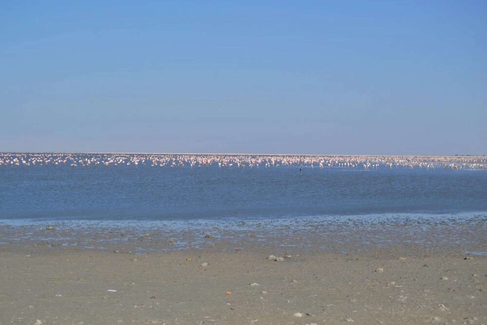 Chobe Sunset Chalets