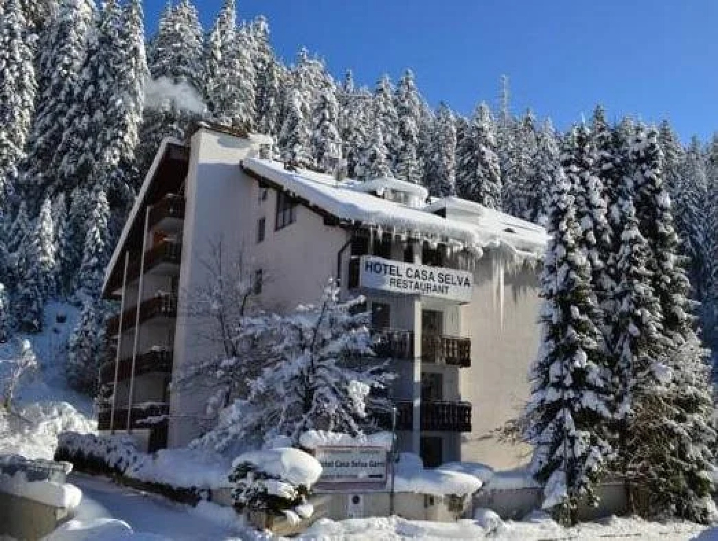 Hotel Casa Selva Garni