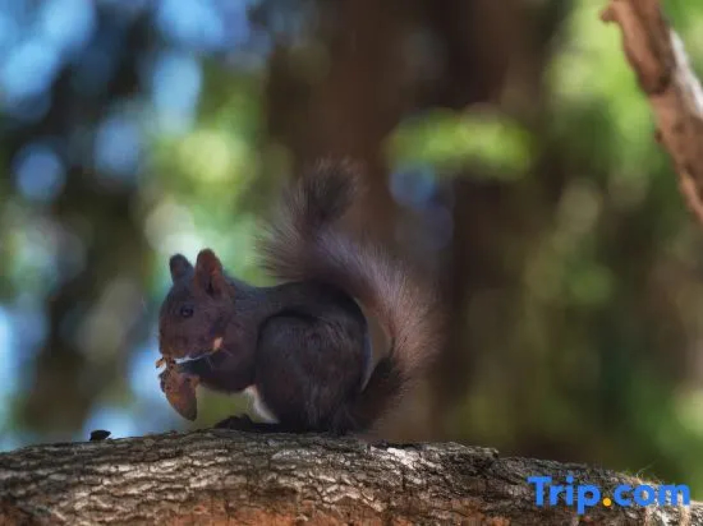 Hemu Ann Slow Homestay