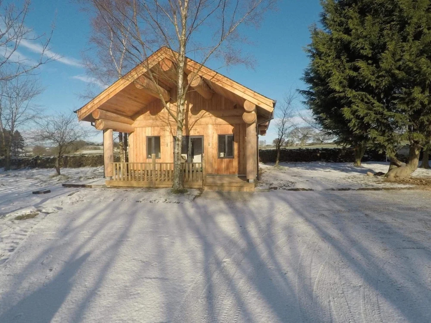 Braisty Woods - Knotty & Nice