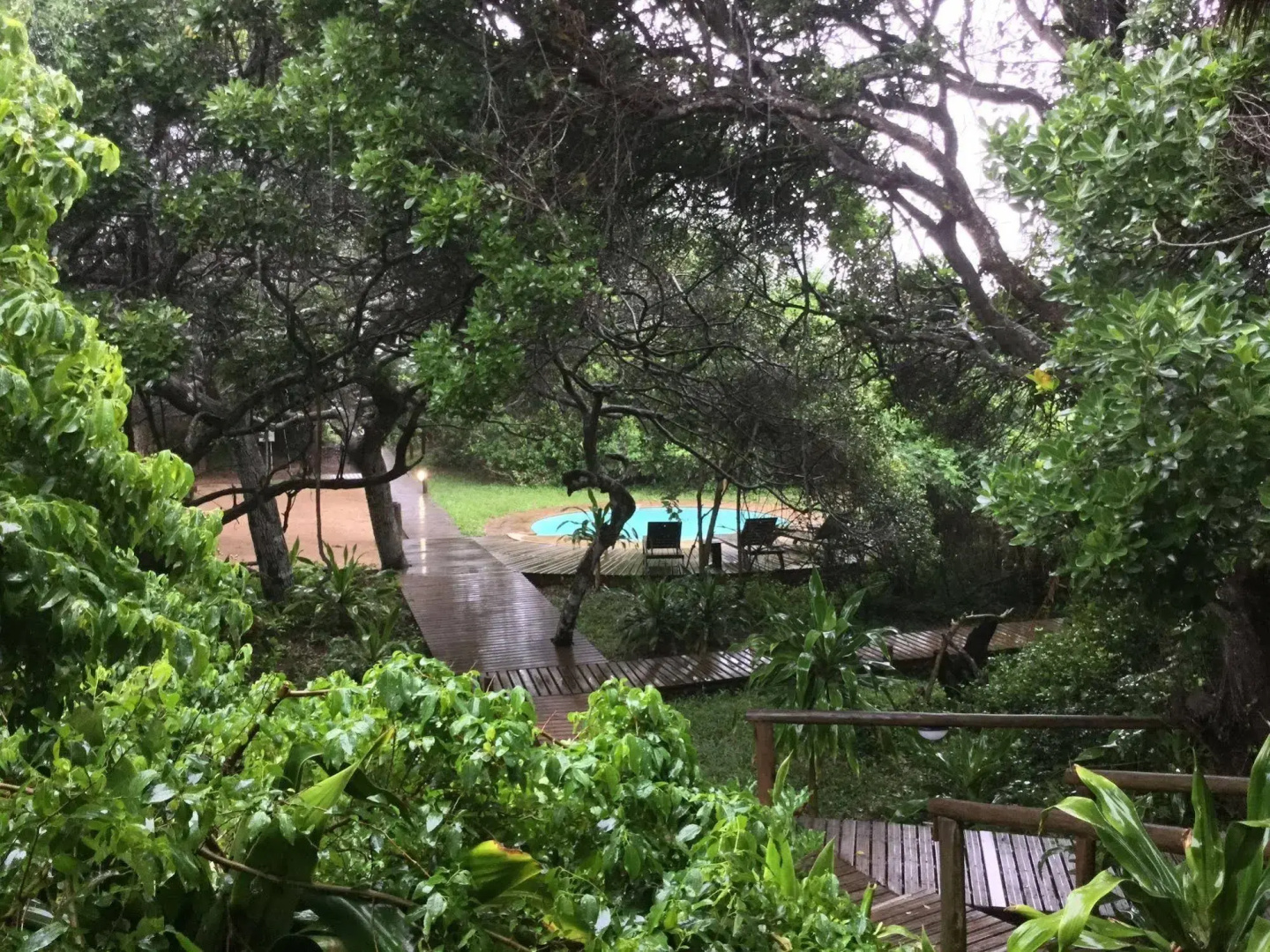 Thonga Beach Lodge