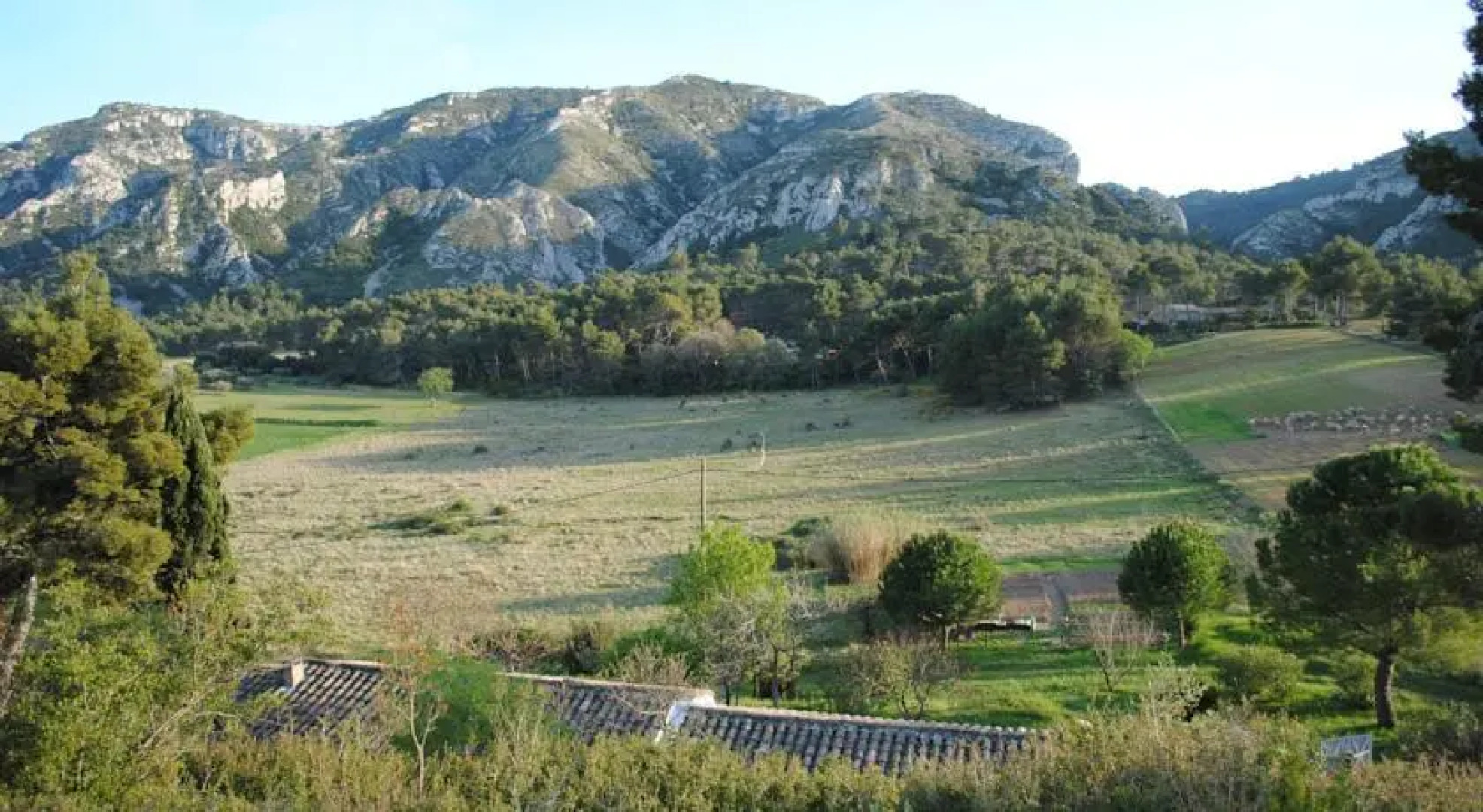 Un petit paradis niché au coeur des Alpilles