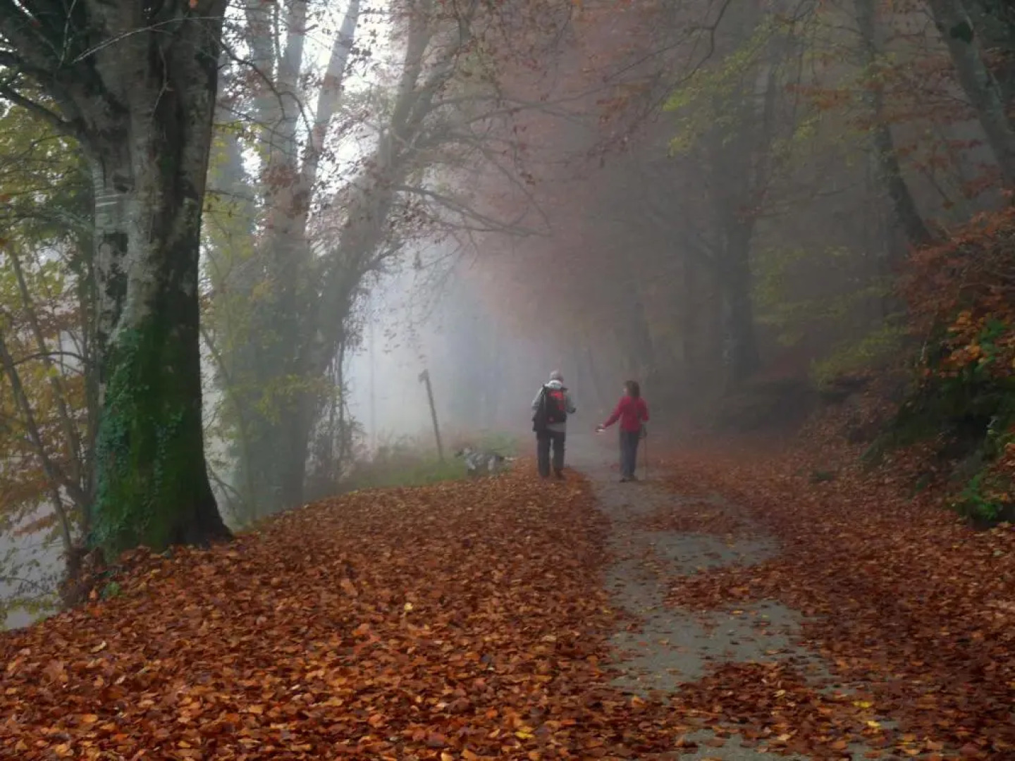 Apartament Sant Francesc