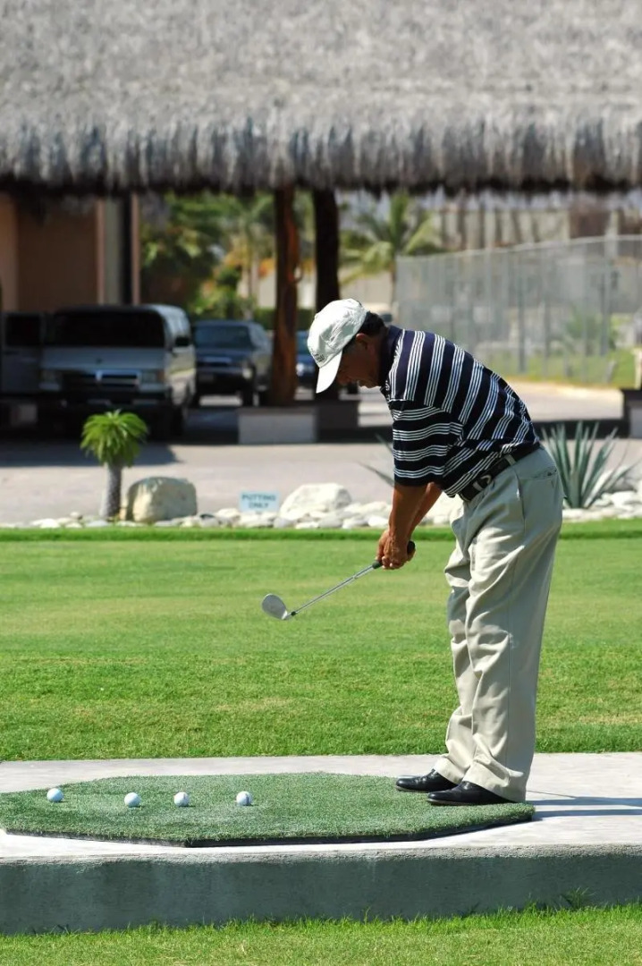 Hotel Palmas De Cortez