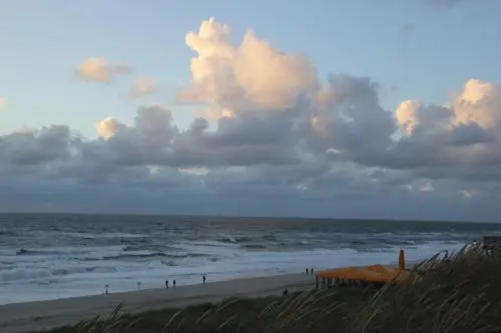 Reetdach Friesenhof Süderende