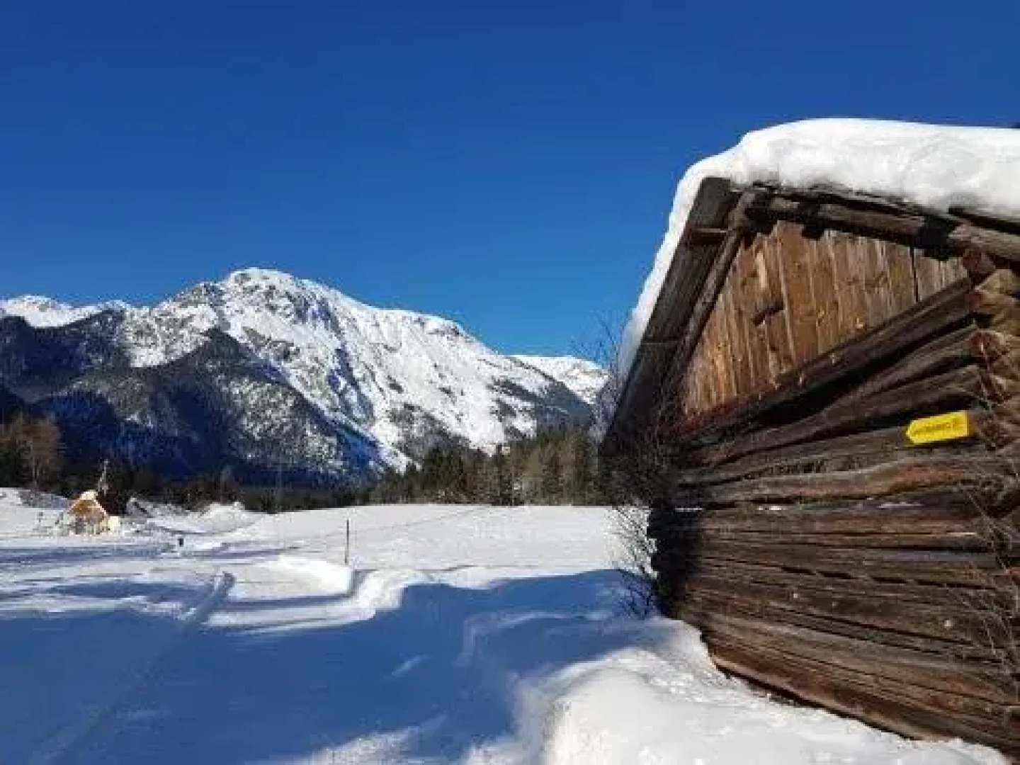 Gästehaus Almrausch, Ferienanlage mit Pool
