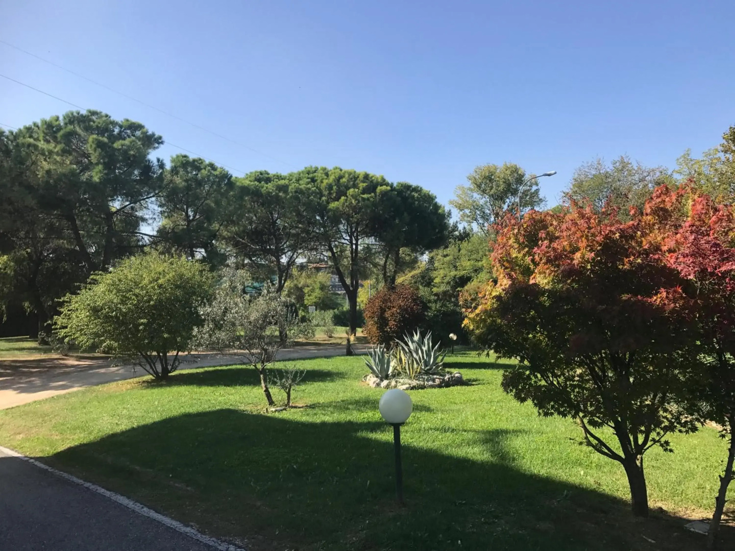 Nuova Barcaccia