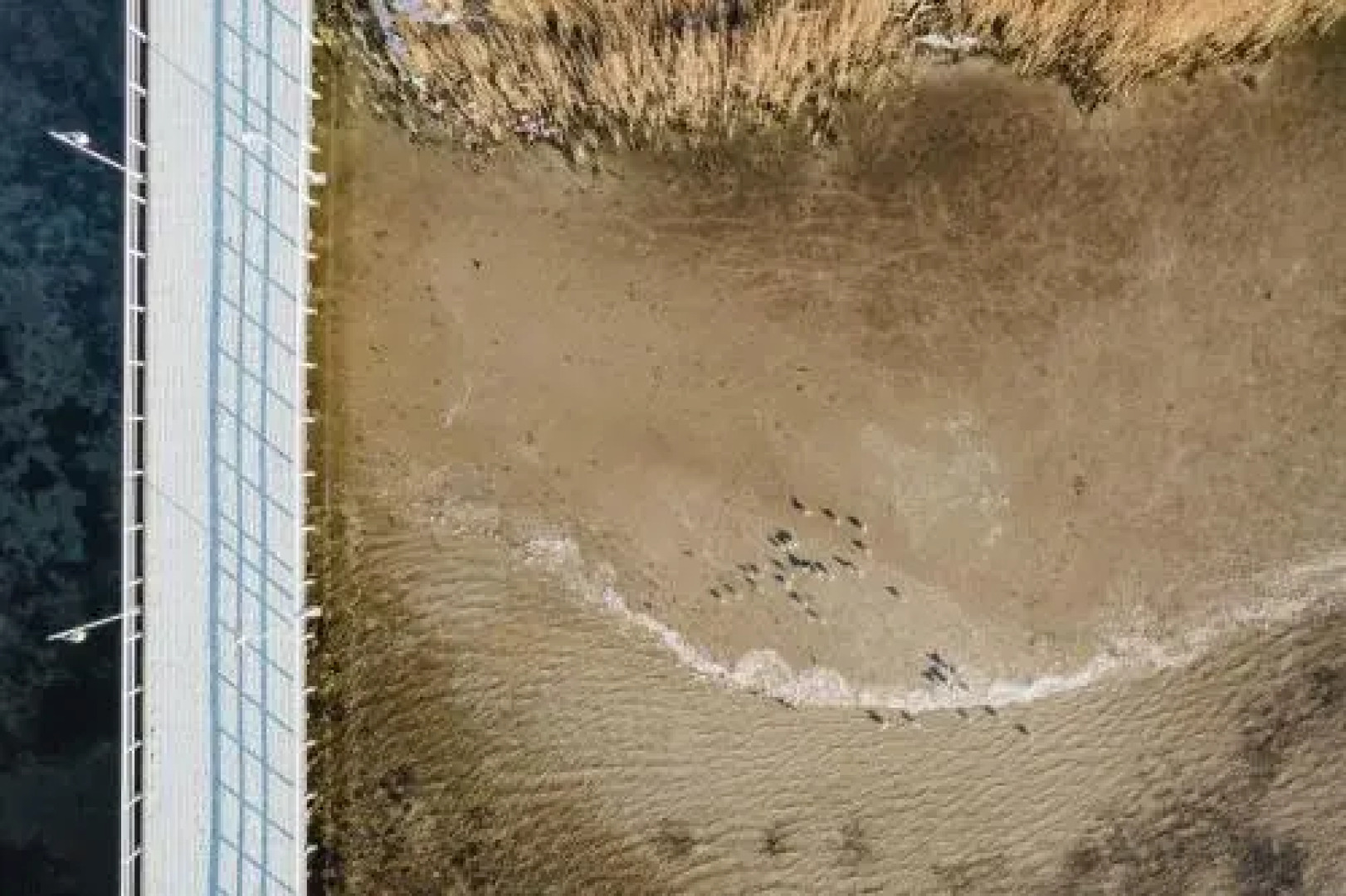 Apartament w Willi Woda w Juracie