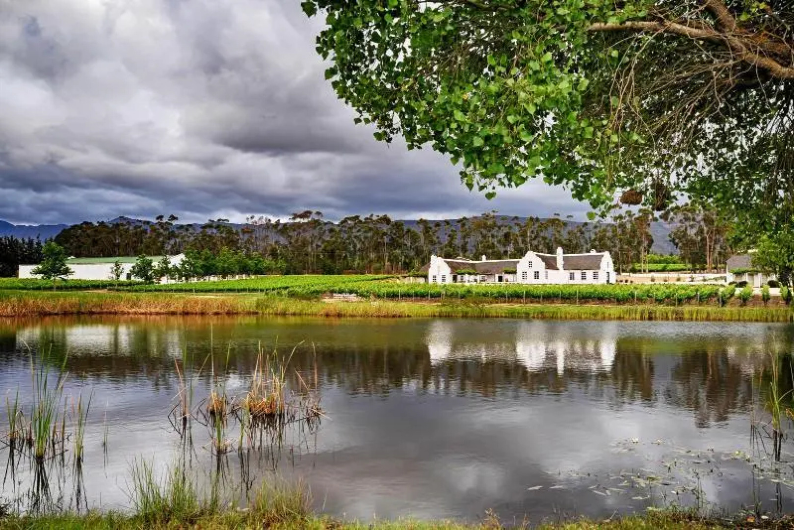 Rijks Wine Estate and Hotel