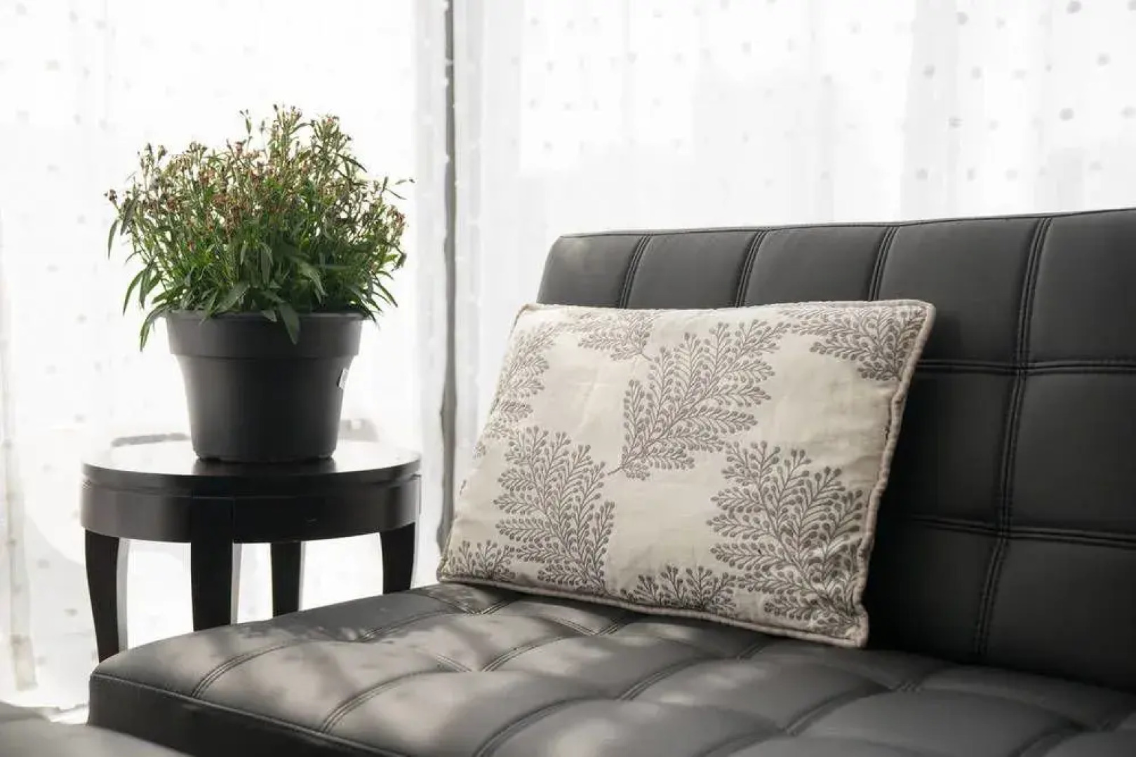 Mary-am Suites - Yorkville Suites