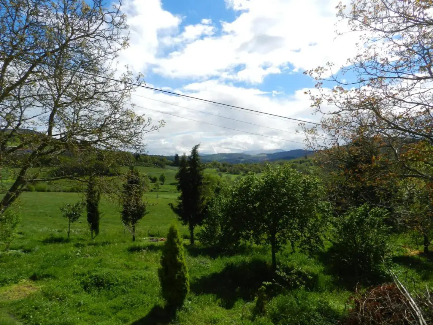 Pension Parrilla Casa Vicente