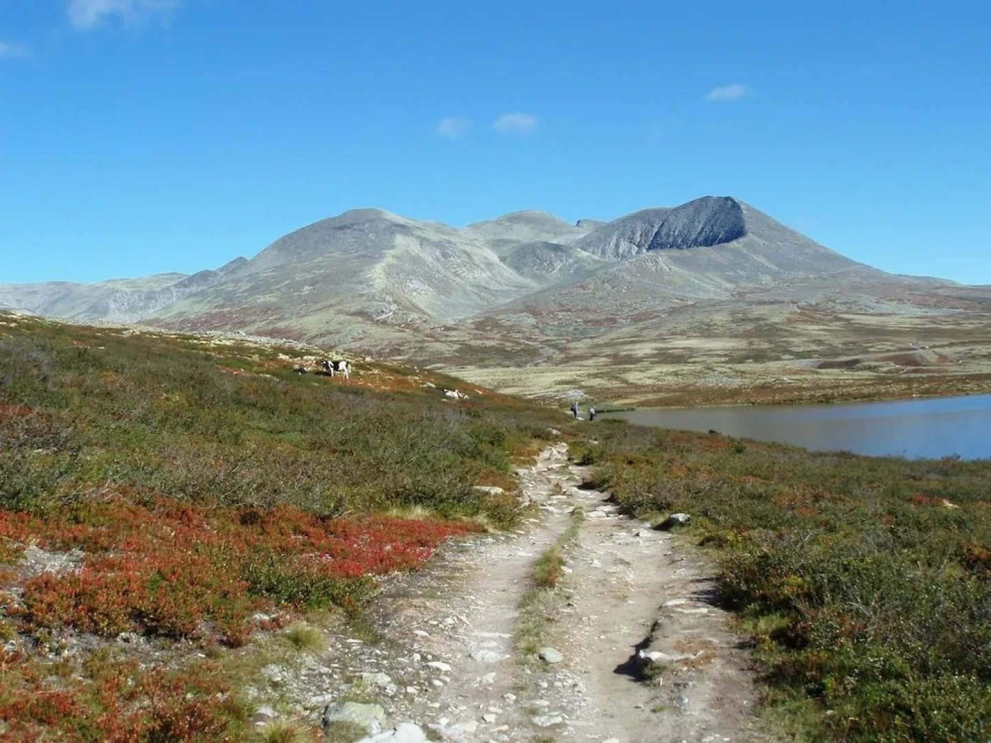 Rondane Haukliseter Fjellhotell
