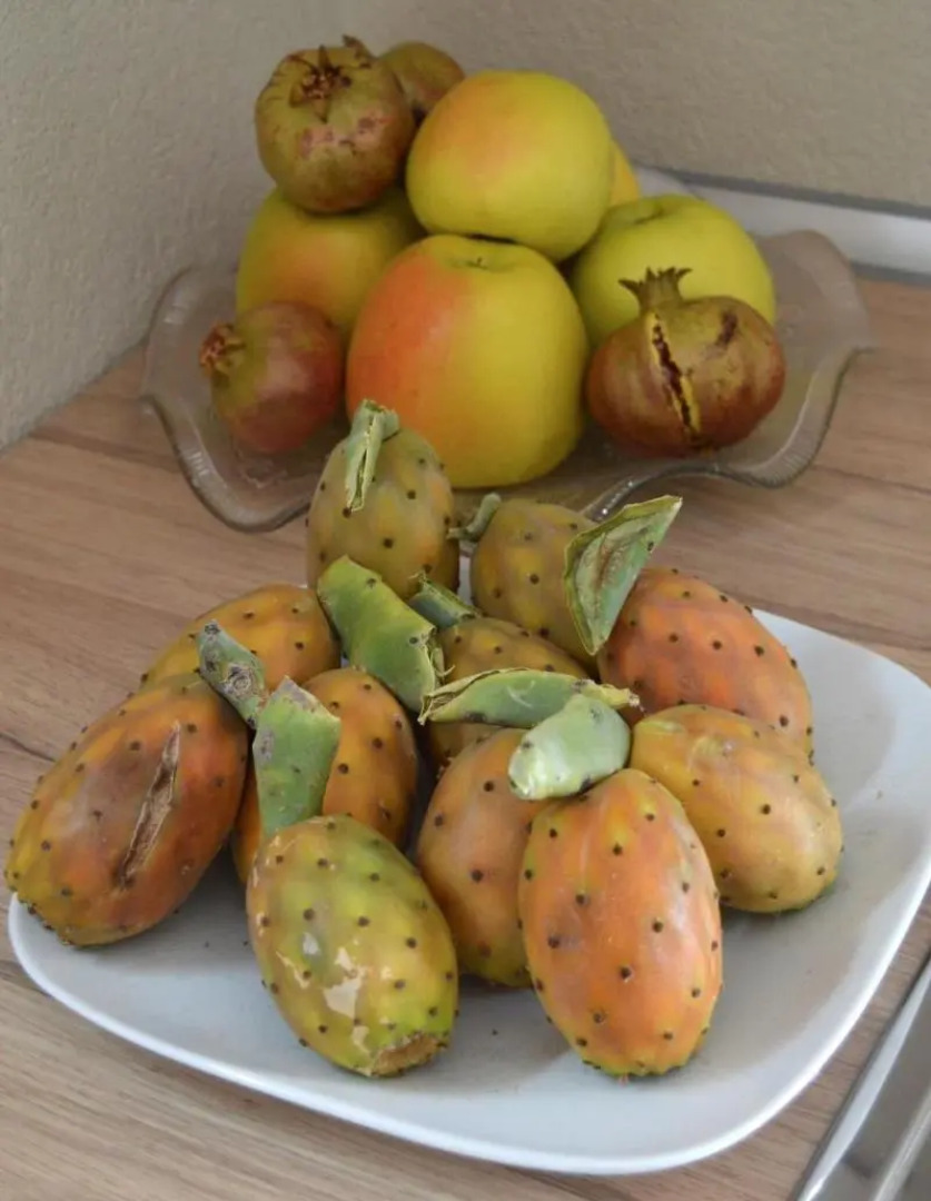 B&B Stazione Dittaino