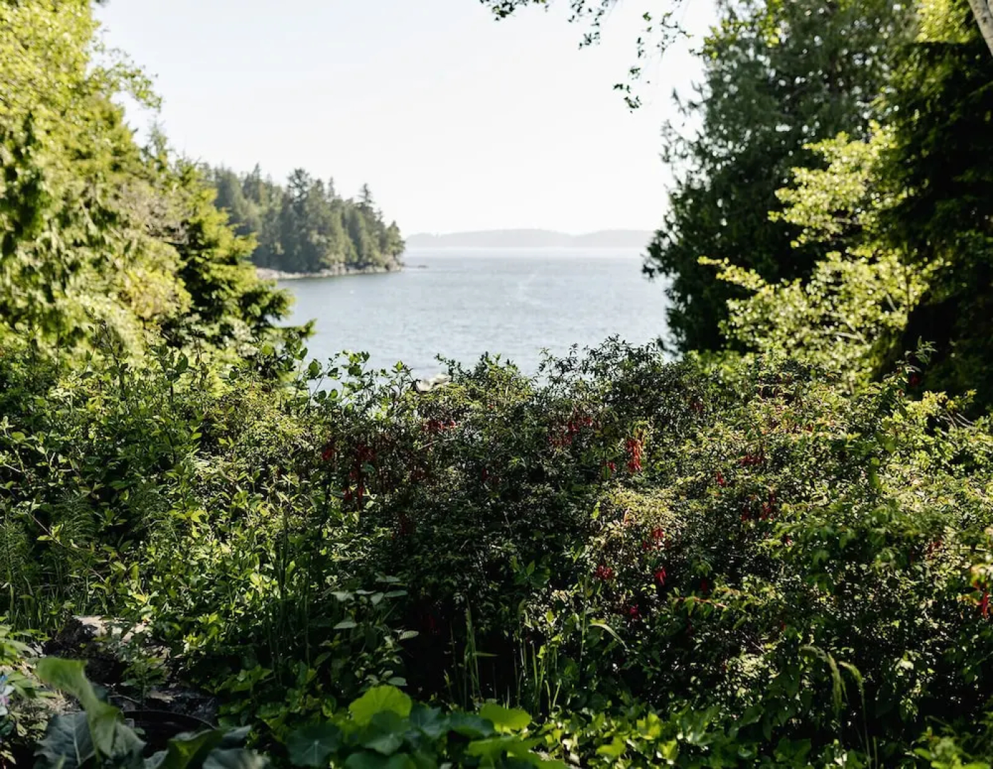 Lunar Cove Inn