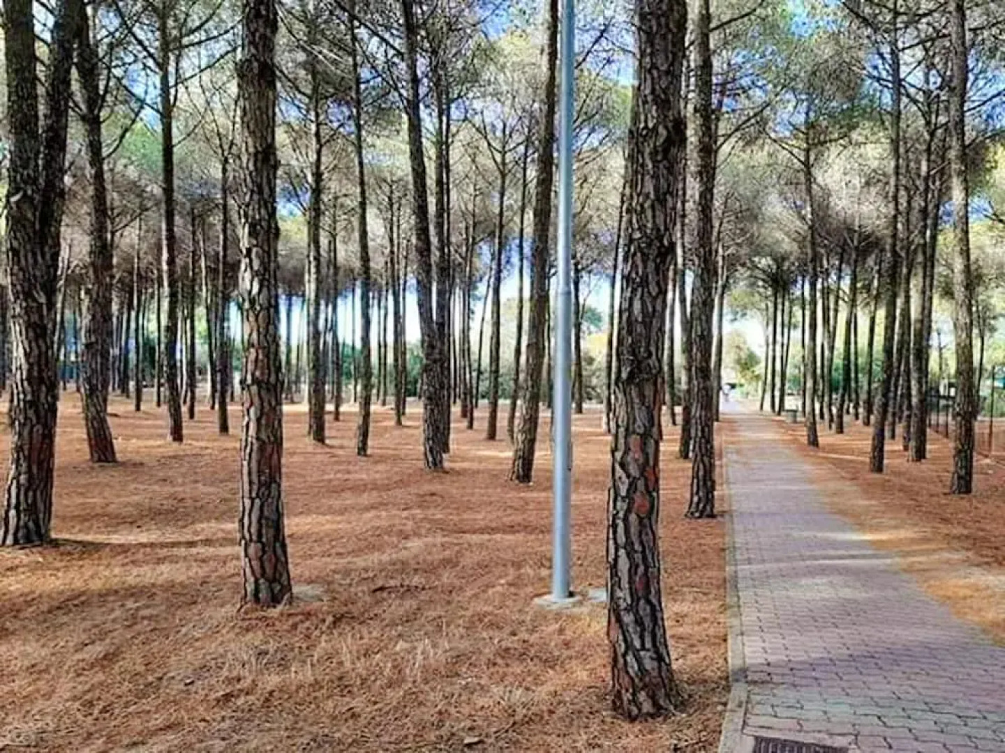 Villa With 2 Bedrooms in Marina di Sibari, With Enclosed Garden - 800