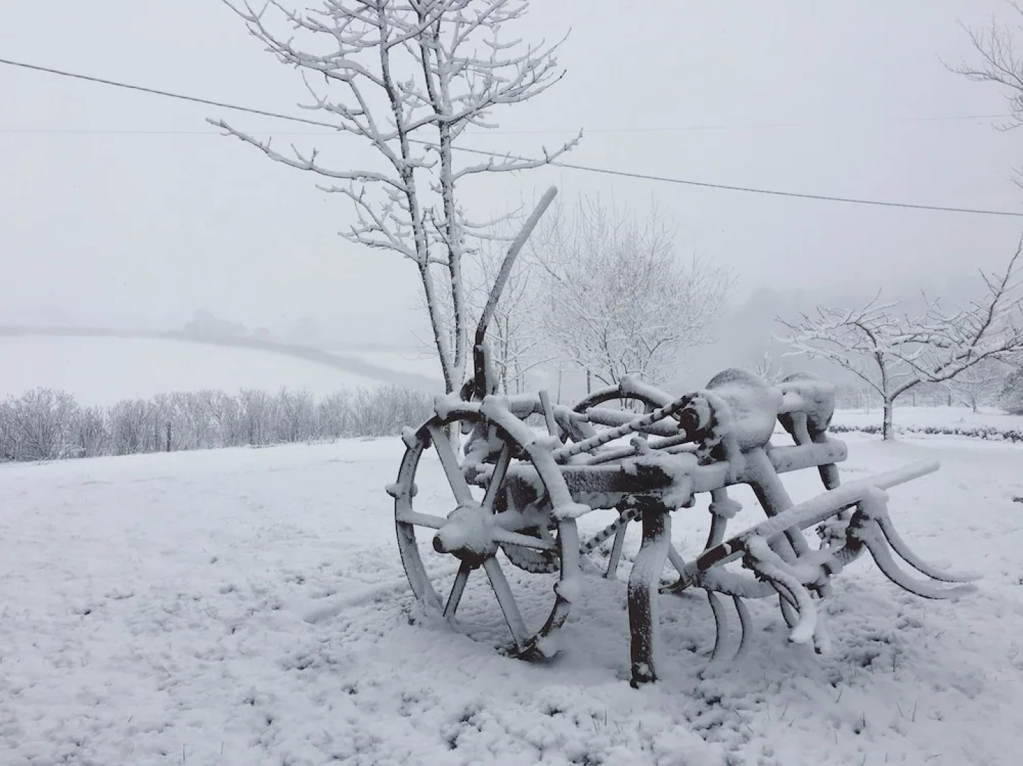 Higher Culloden Farm