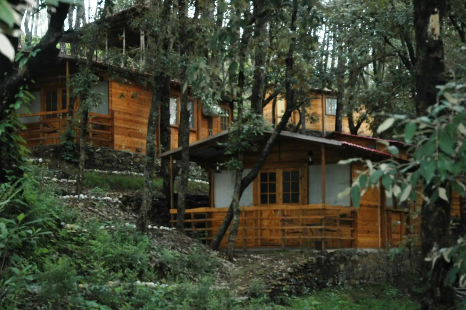 Aamod Resort - Shoghi