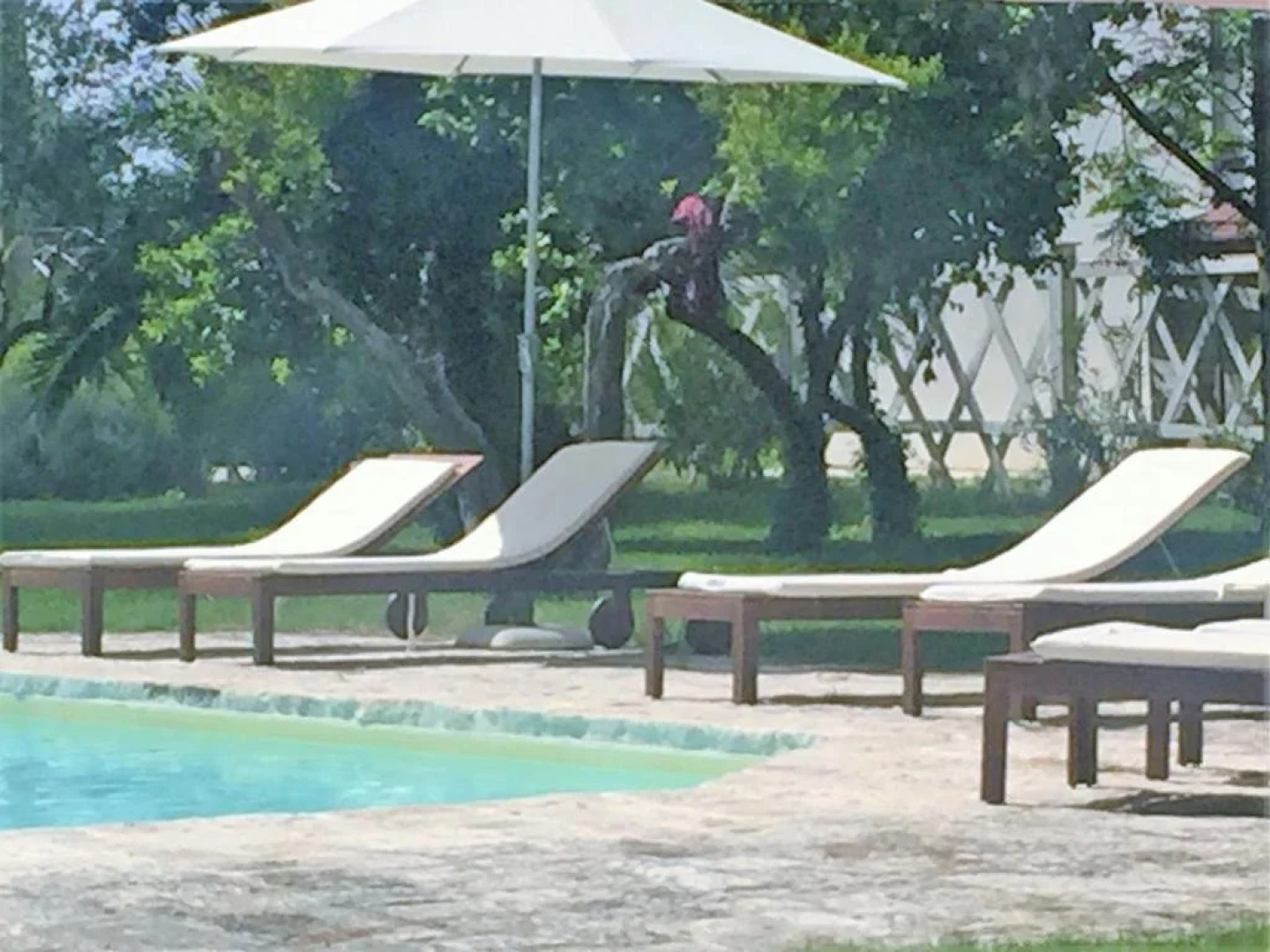 Masseria San Domenico Oria boutique B&B