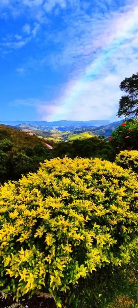 Sítio das Hortênsias