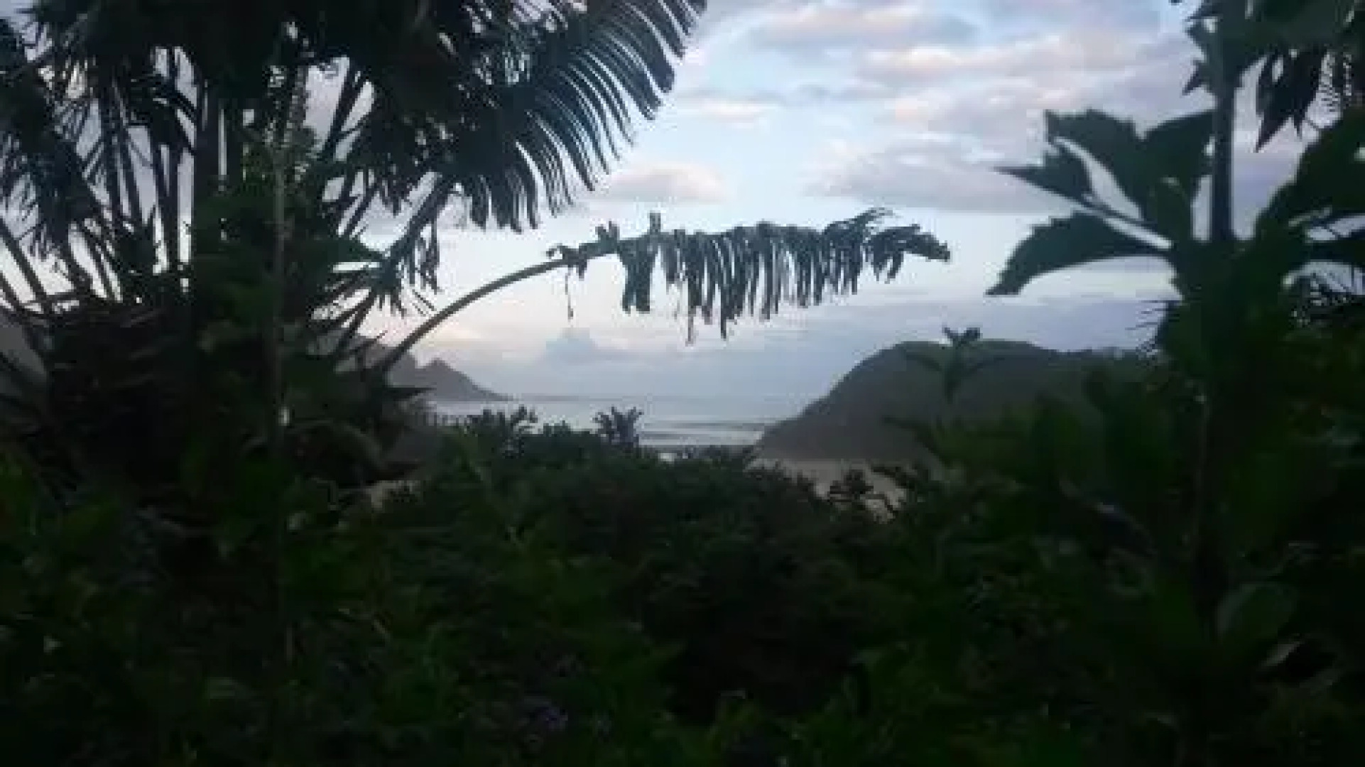 Delicious Monster Retreat and Restaurant