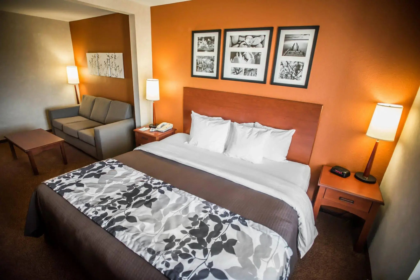 Sleep Inn & Suites Dunmore