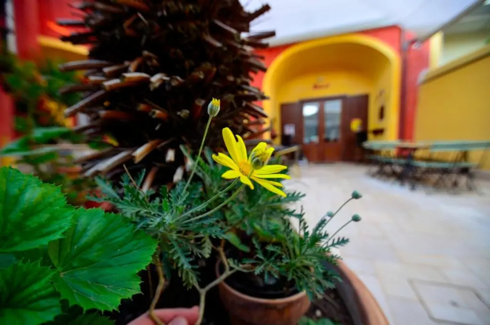 Manouche B&B Bistrot