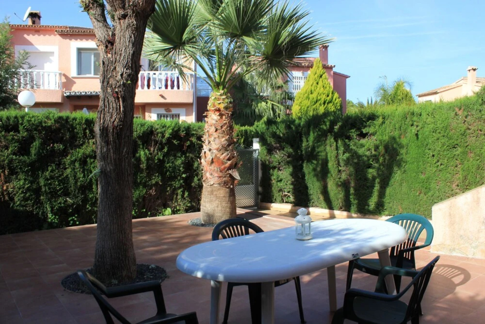 114 Campo Olivar, 502