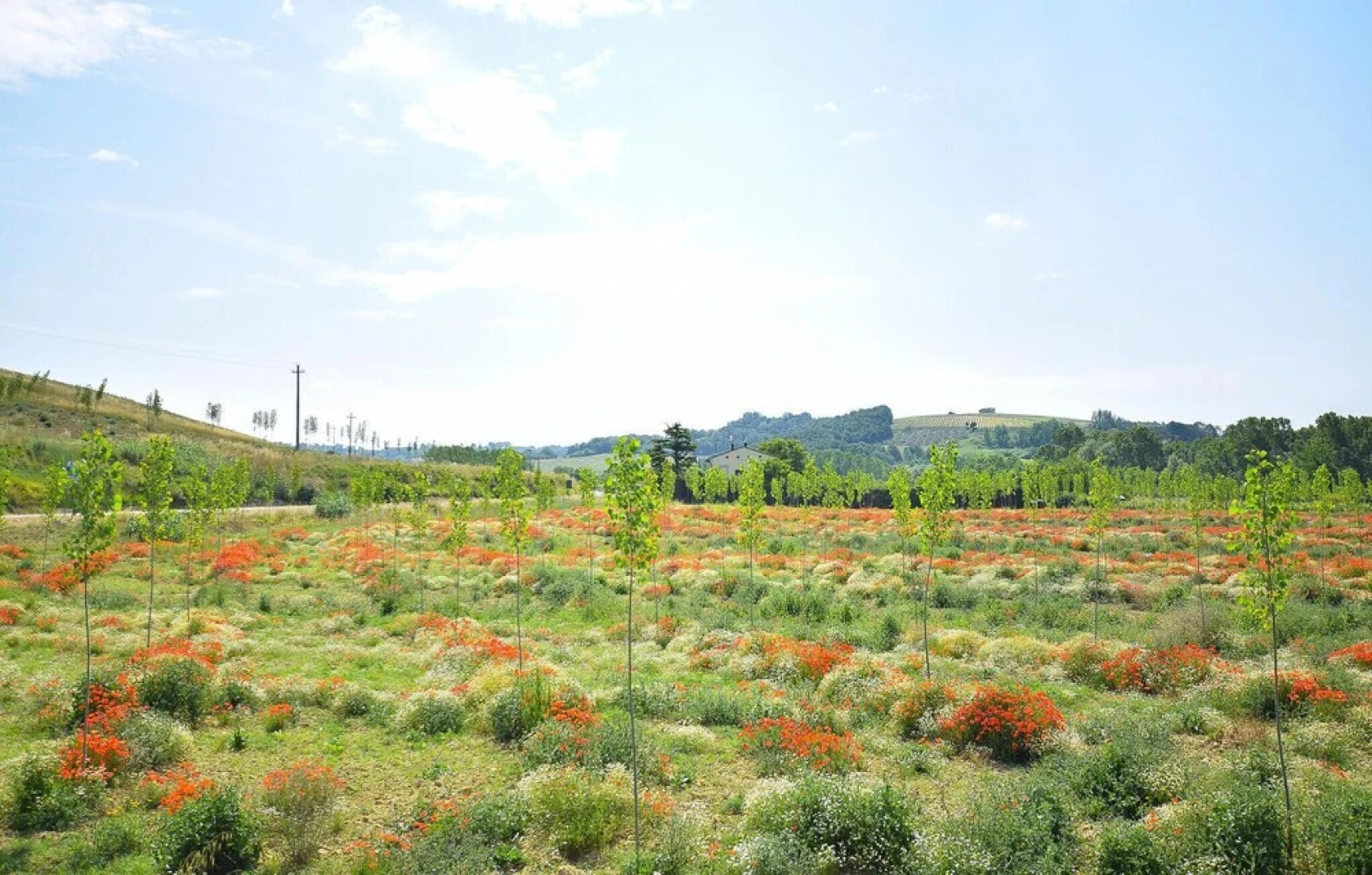 Amazing Home in San Miniato With 4 Bedrooms, Wifi and Outdoor Swimming Pool