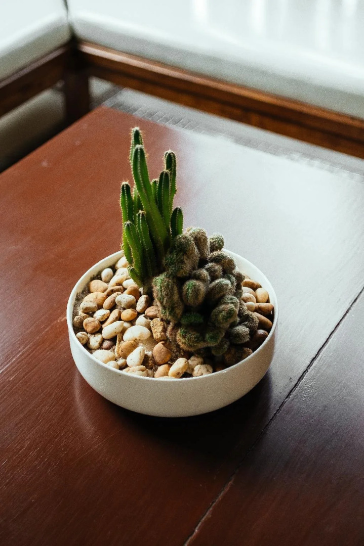 Loei Pavilion Resort Hotel