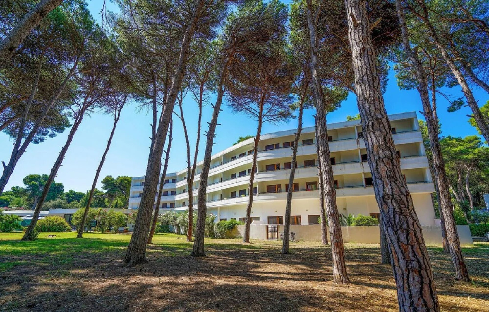 Bilo 5