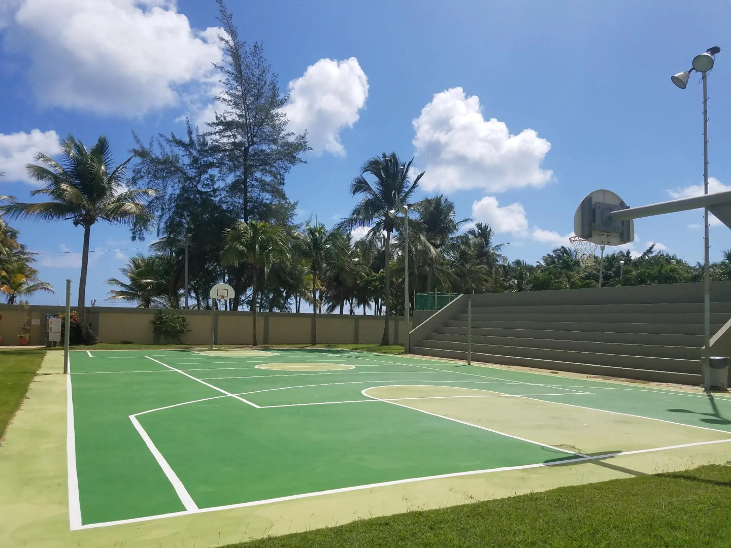 Breathtaking ocean view apt, steps from the beach!