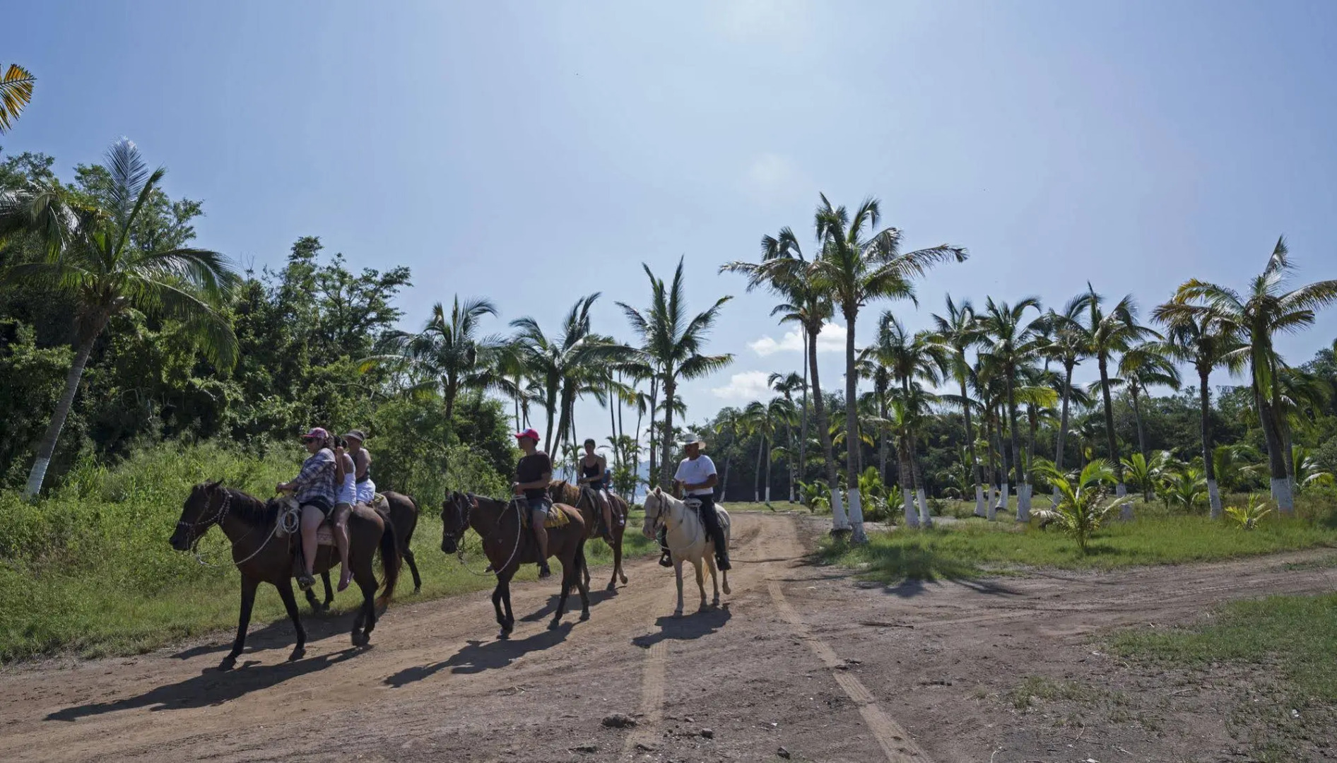 Los Angeles Locos - All Inclusive