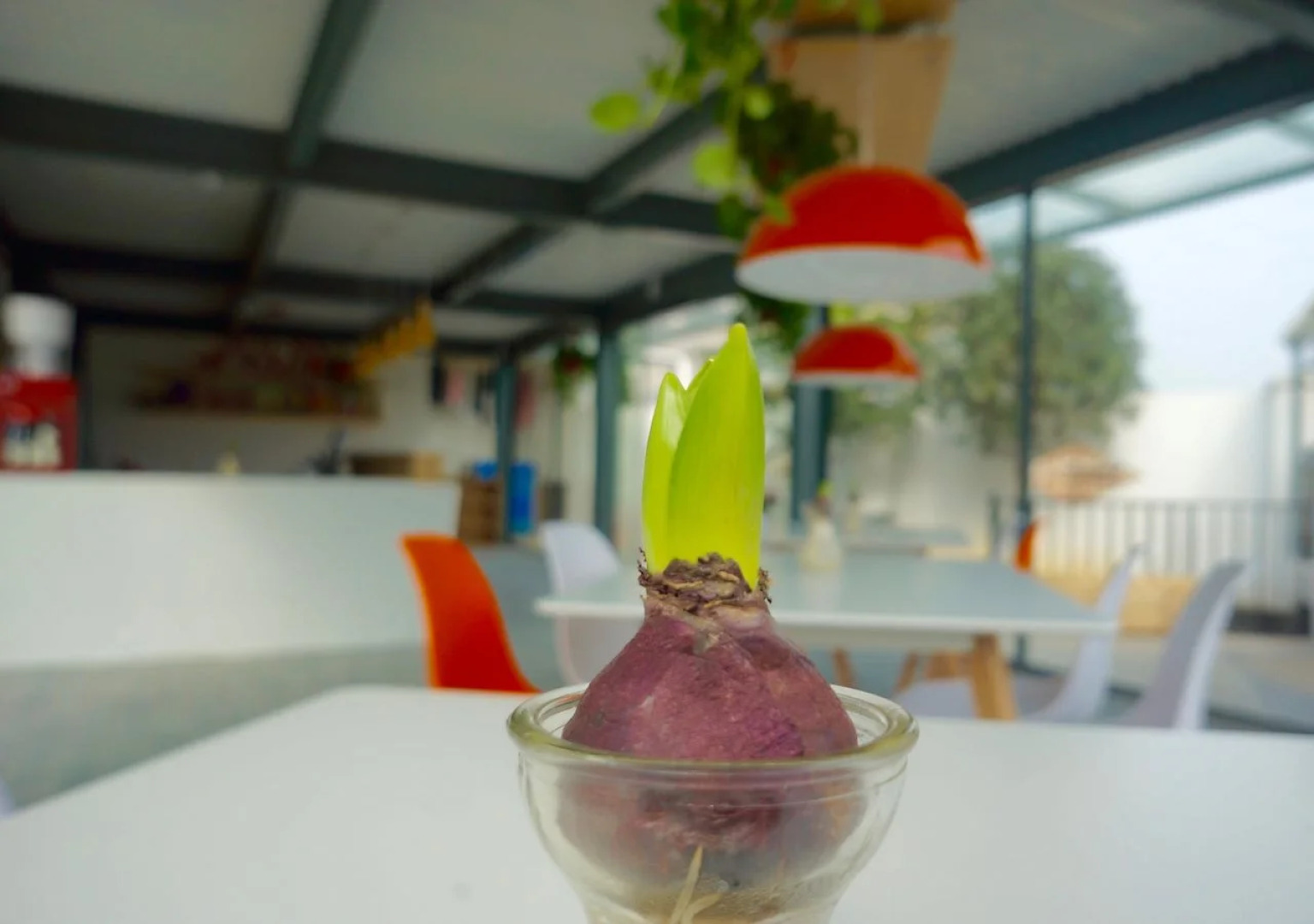 Yangshuo Wada Hostel by Yulong River