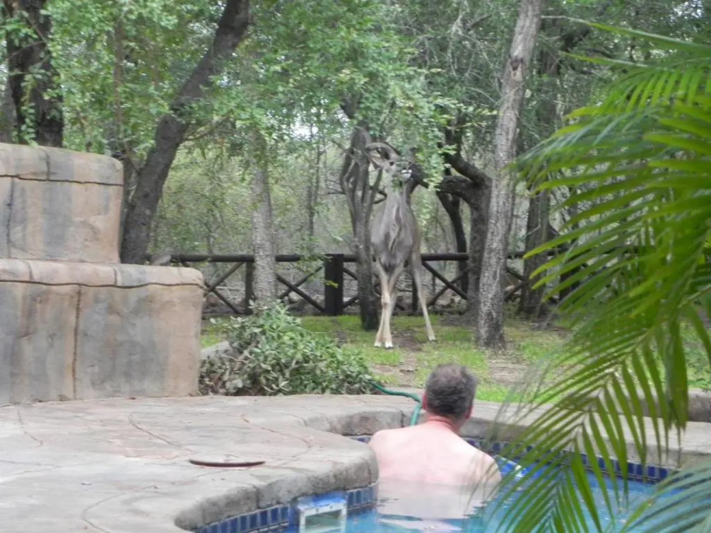 Marloth Kruger Little Manor