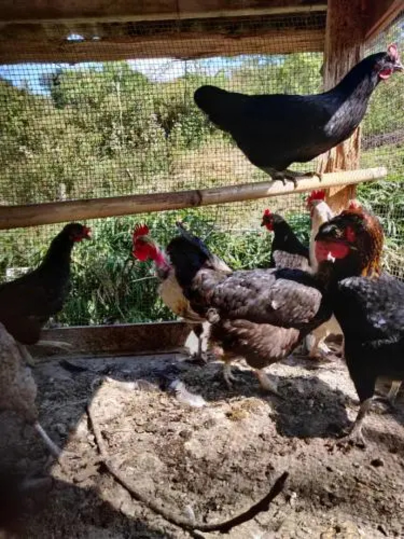 Casa de Campo Tres Soles