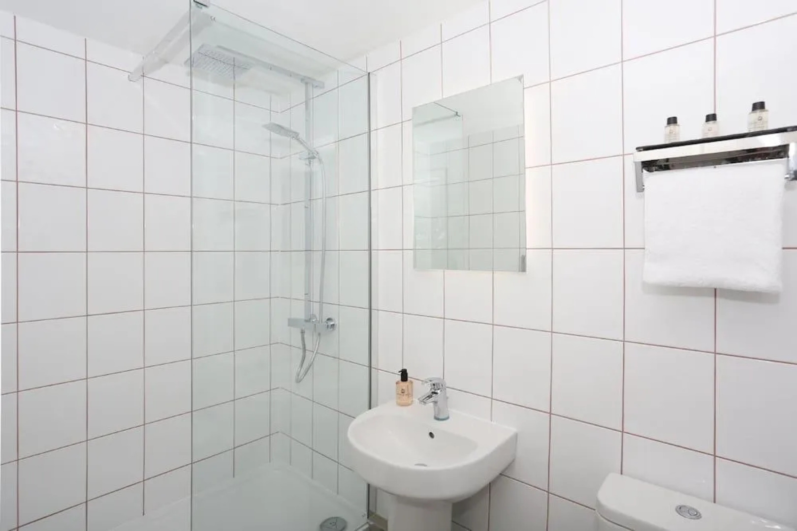 The Bishop And The Bison