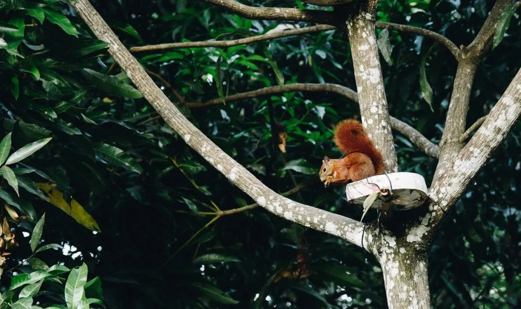 Glamping Safari - Hostel