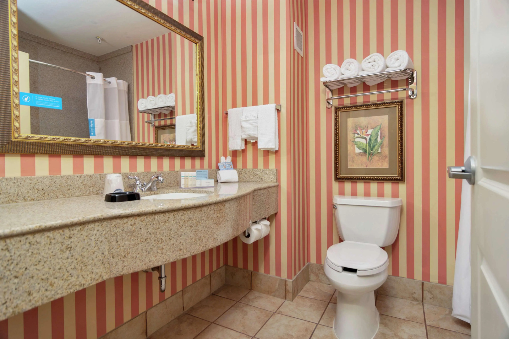 Hampton Inn & Suites Dallas-DFW ARPT W-SH 183 Hurst