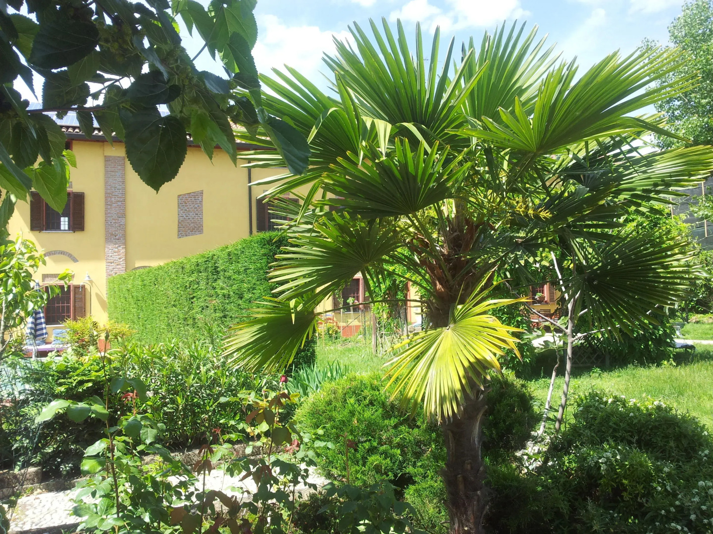 Il Pioppo e la Fonte